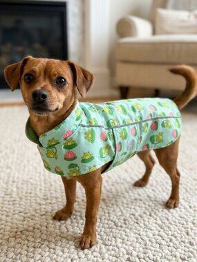 HD Hoodless Raincoat - Frogs